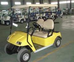 Auto Elettrica Golf Car Elettrica Eco Mobile 2 Posti