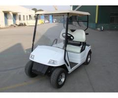 Auto Elettrica Golf Car Elettrica Eco Mobile 2 Posti