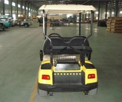 Auto Elettrica Golf Car Elettrica Eco Mobile 2 Posti
