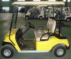 Auto Elettrica Golf Car Elettrica Eco Mobile 2 Posti